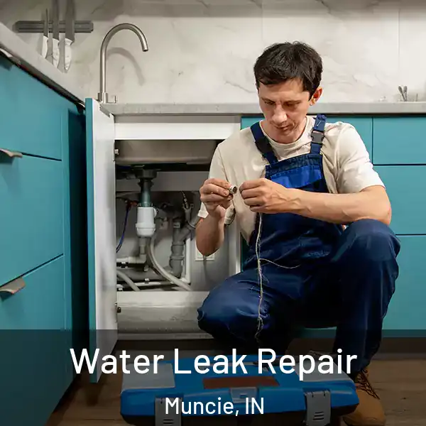  Water Leak Repair Muncie, IN